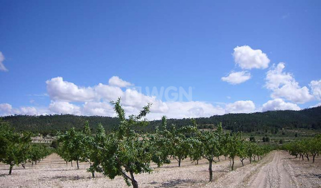 Resale - Country House - Salinas - Inland