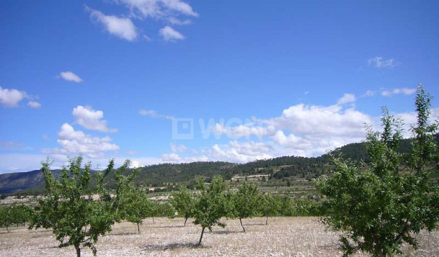 Resale - Country House - Salinas - Inland