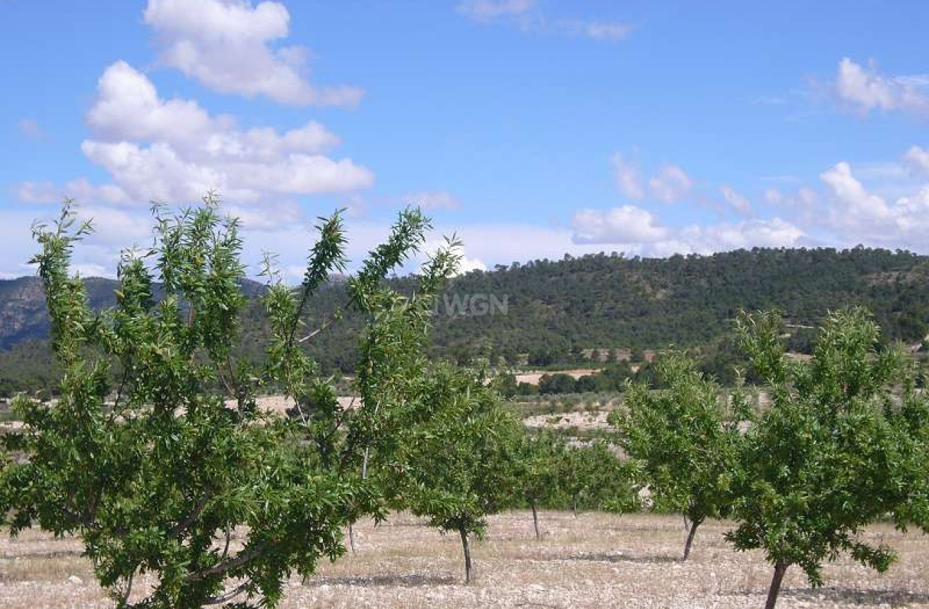 Resale - Country House - Salinas - Inland