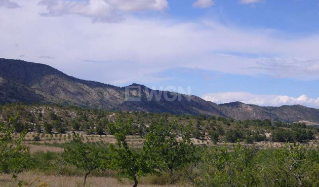 Resale - Country House - Salinas - Inland