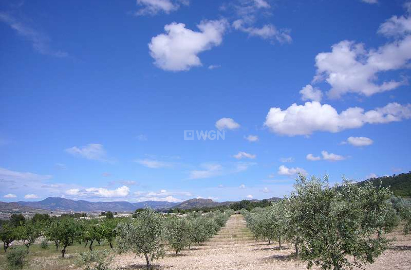 Resale - Country House - Salinas - Inland