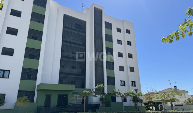 Reventa - Apartamento / piso - Pilar de la Horadada - Mil Palmeras