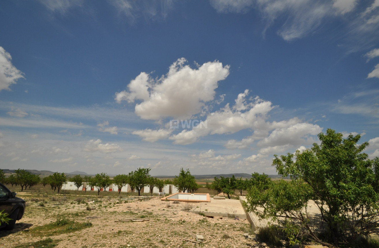 Reventa - Land - Yecla - Inland