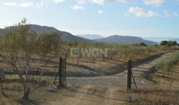 Resale - Land - Alora - Inland