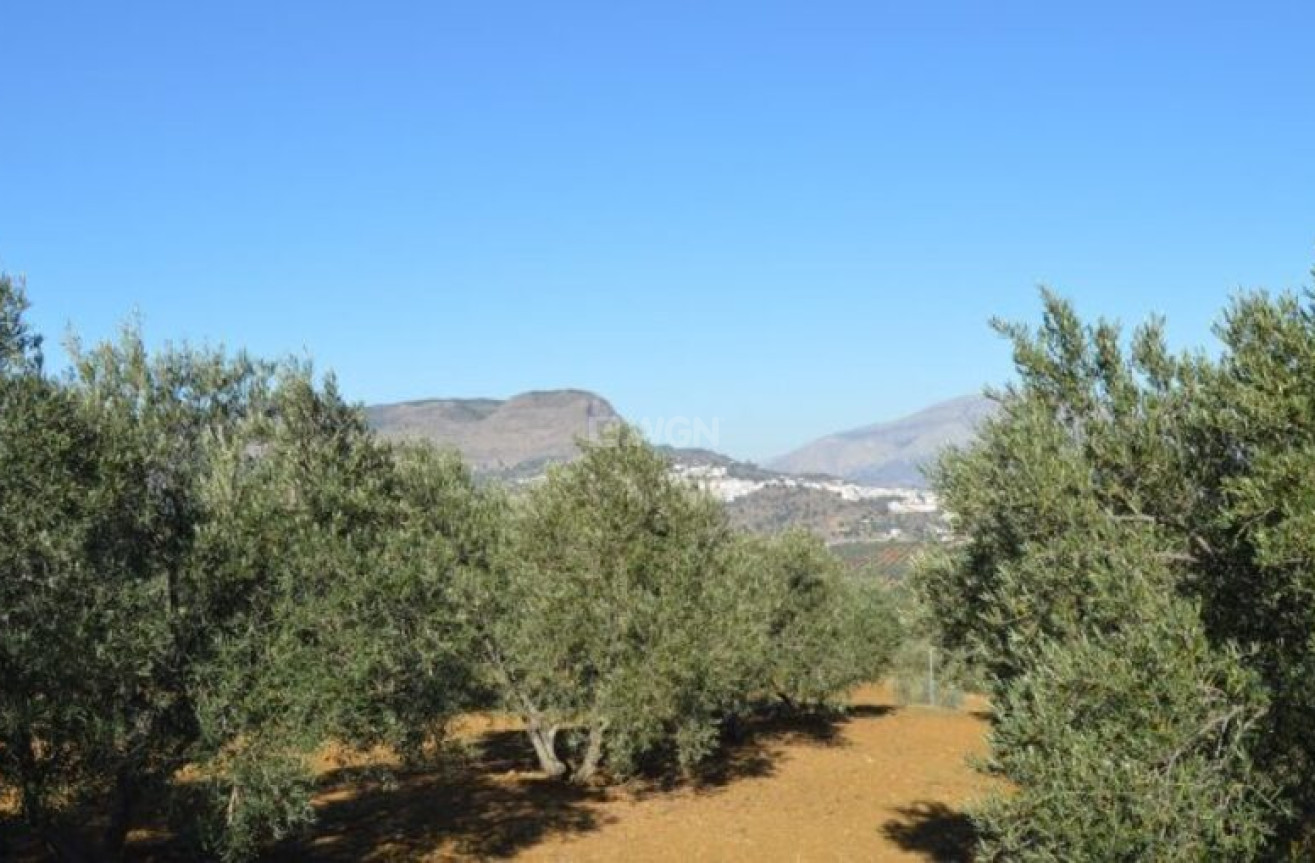 Resale - Land - Alora - Inland