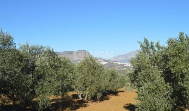 Reventa - Land - Alora - Inland