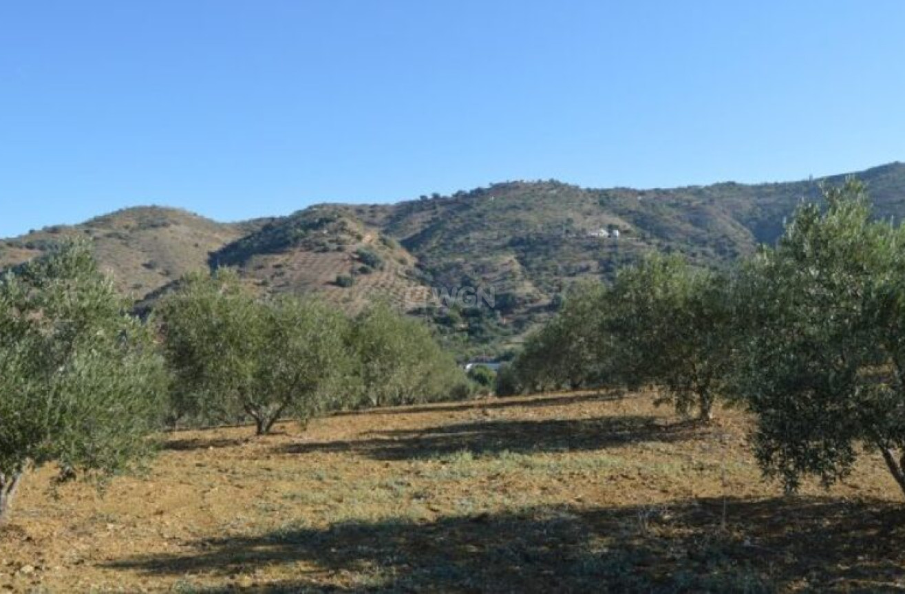 Resale - Land - Alora - Inland