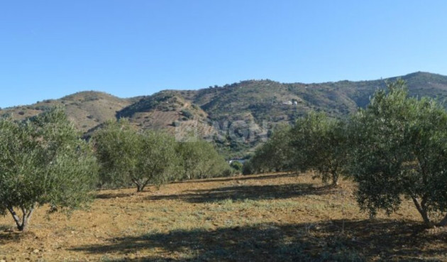 Resale - Land - Alora - Inland