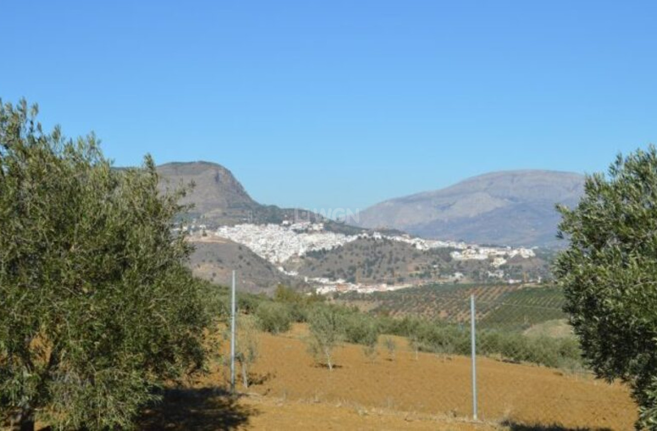 Reventa - Land - Alora - Inland