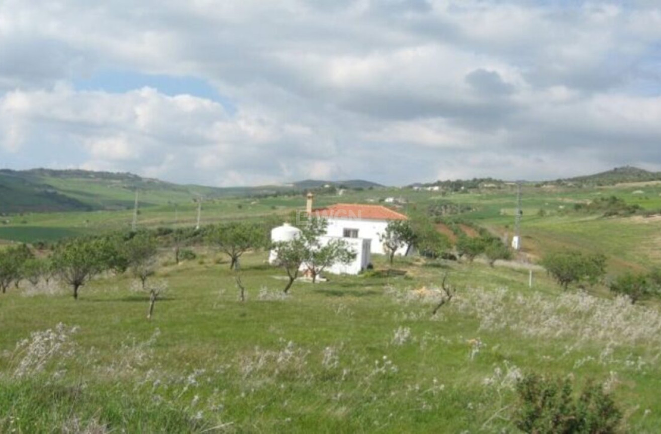 Reventa - Country House - Valle de Abdalajis - Inland