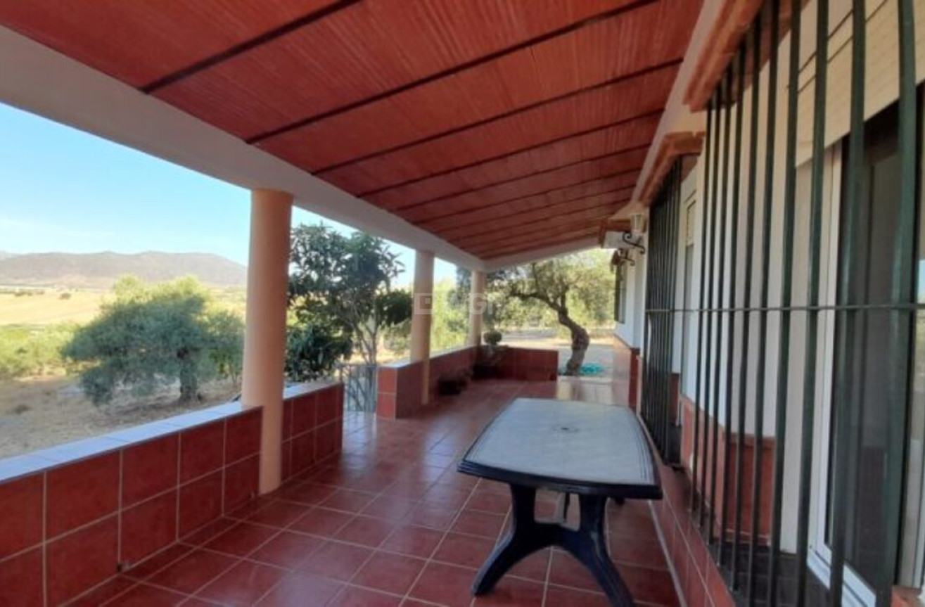 Reventa - Country House - Alora - Inland