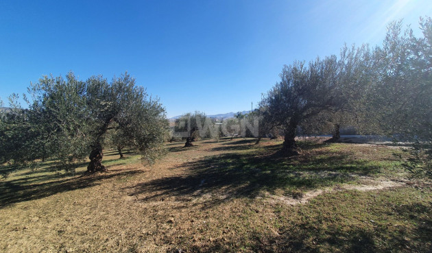 Resale - Land - Alhaurin el Grande - Inland