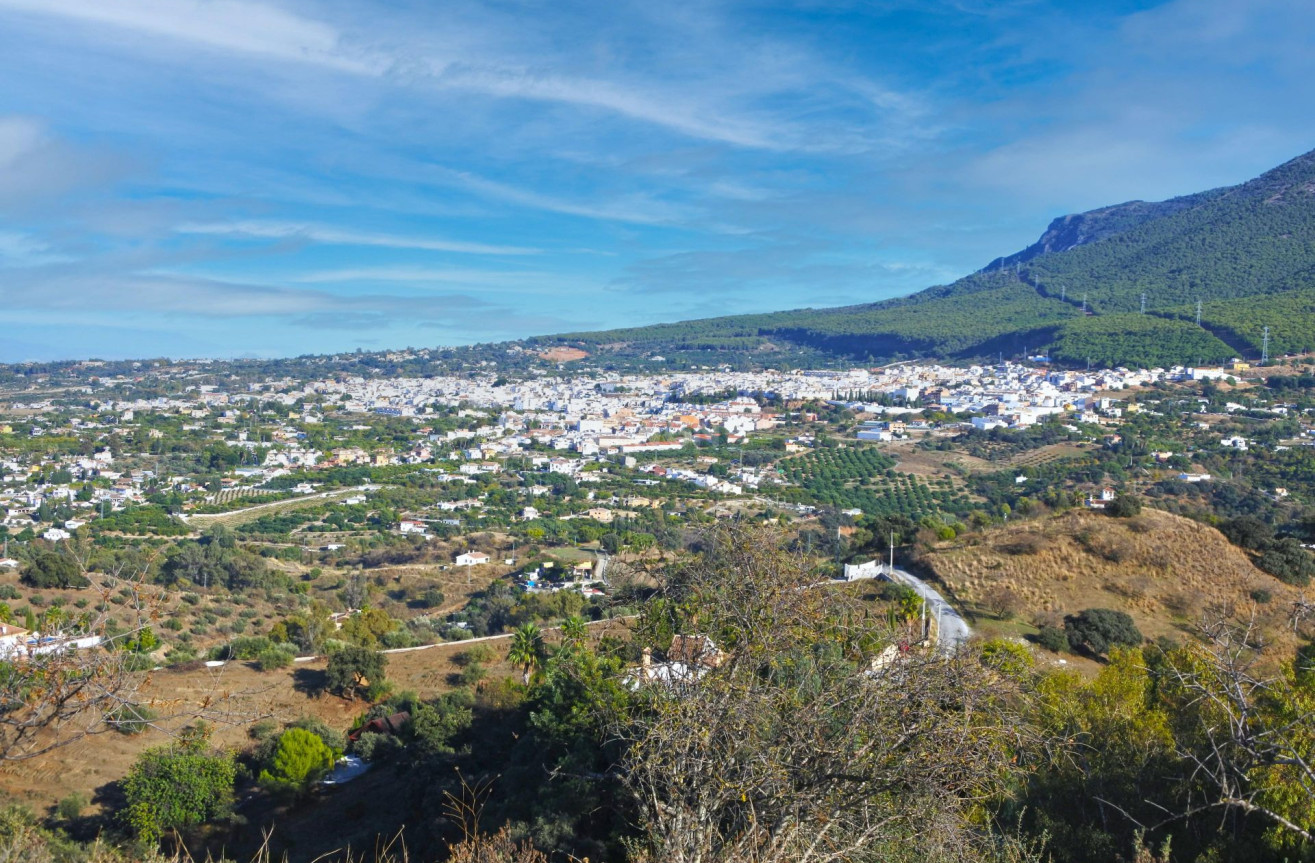 Reventa - Land - Alhaurin el Grande - Inland