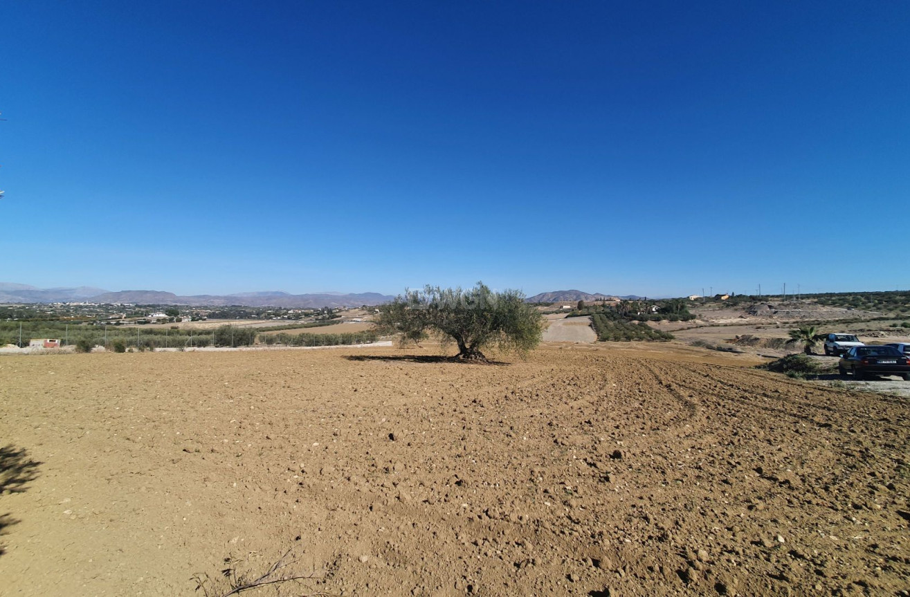 Reventa - Land - Alhaurin el Grande - Inland