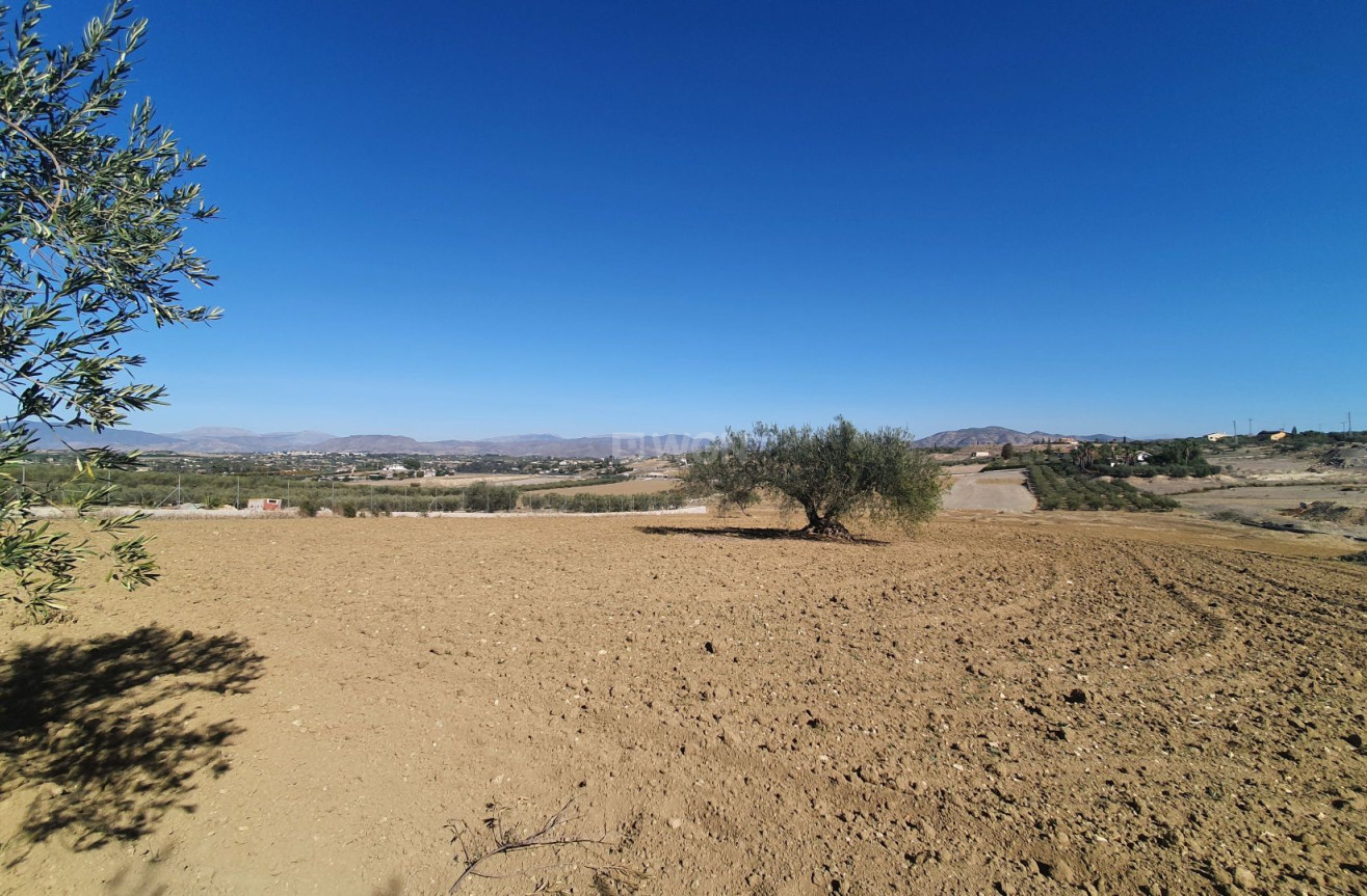 Reventa - Land - Alhaurin el Grande - Inland