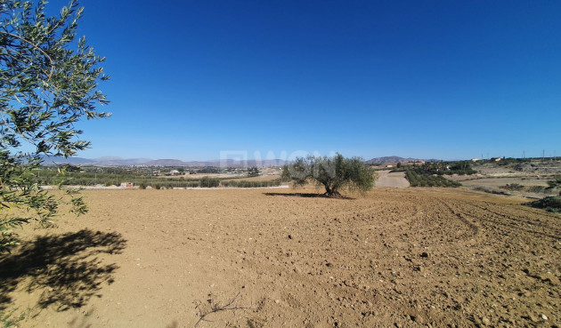 Resale - Land - Alhaurin el Grande - Inland