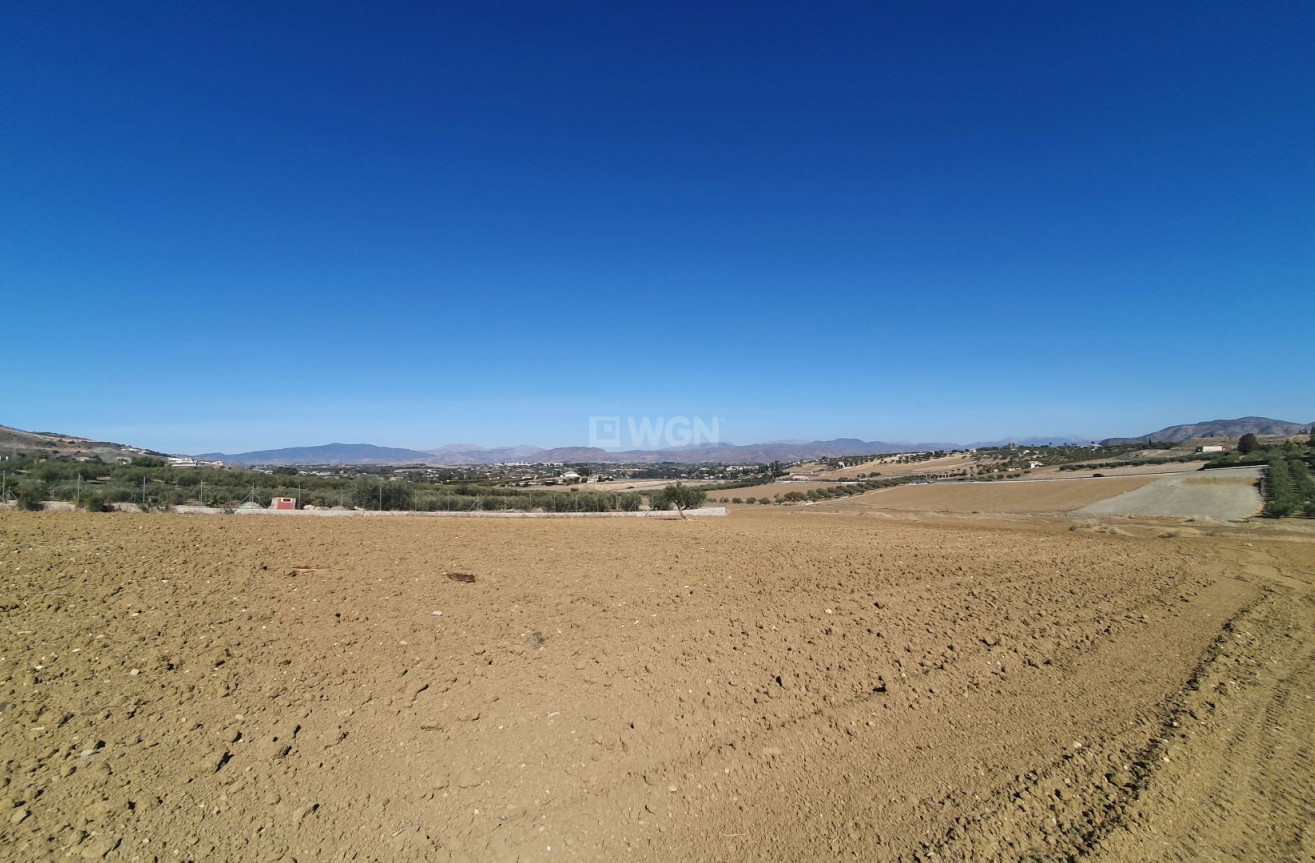 Odsprzedaż - Land - Alhaurin el Grande - Inland