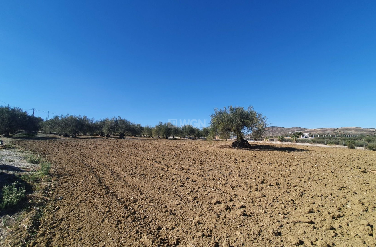 Reventa - Land - Alhaurin el Grande - Inland