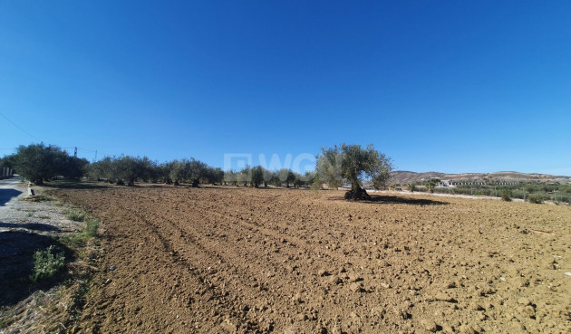 Resale - Land - Alhaurin el Grande - Inland