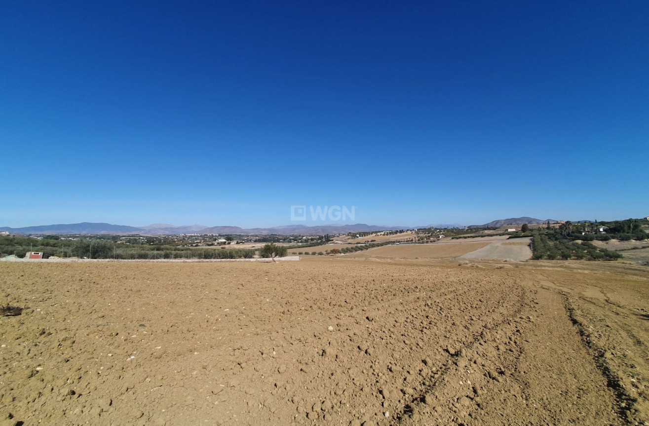 Resale - Land - Alhaurin el Grande - Inland