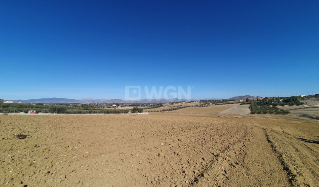 Reventa - Land - Alhaurin el Grande - Inland