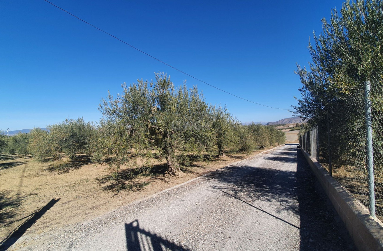 Resale - Land - Alhaurin el Grande - Inland