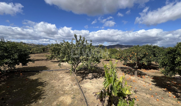 Reventa - Country House - Alhaurín de la Torre - Inland