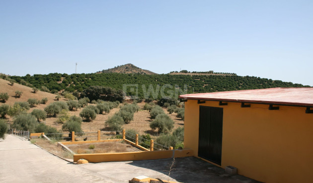 Resale - Country House - Coin - Inland