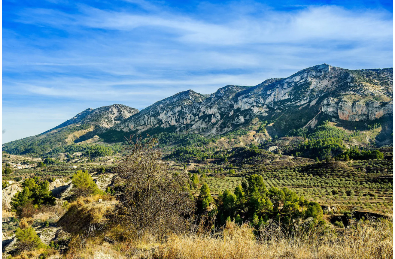 Odsprzedaż - Reklama w telewizji - Altea - Costa Blanca