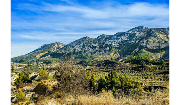 Odsprzedaż - Reklama w telewizji - Altea - Costa Blanca