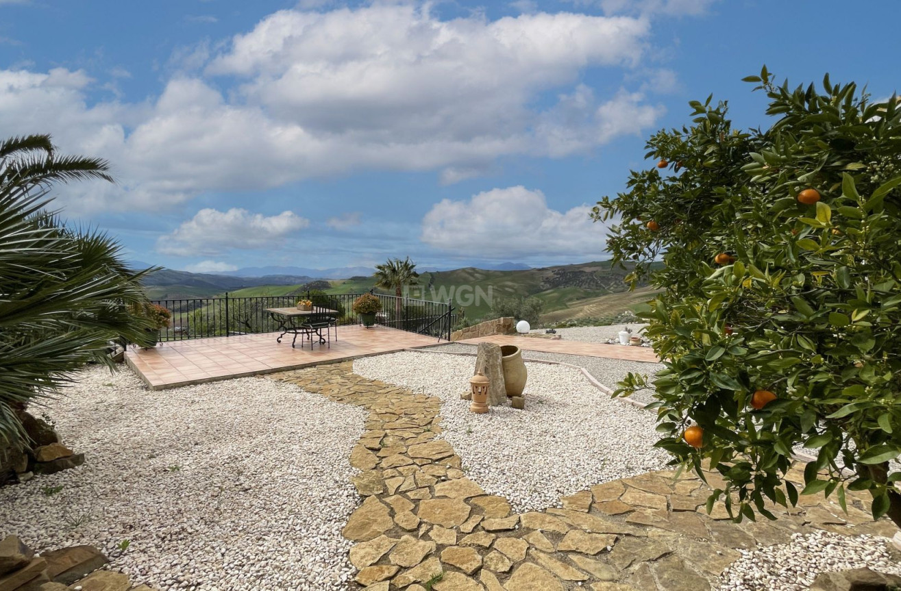 Odsprzedaż - Country House - Antequera - Inland