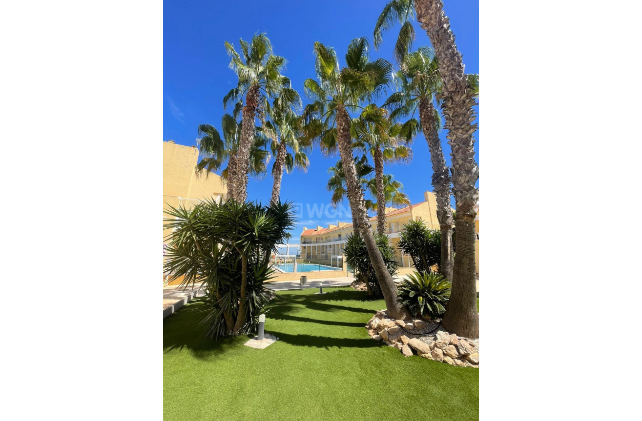 Reventa - Bungalow - Torrevieja - Aguas Nuevas 2