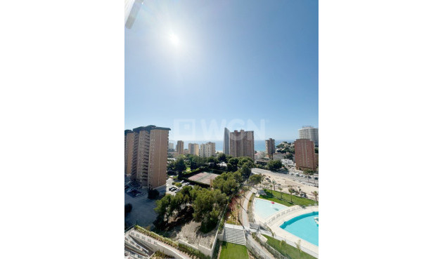 Reventa - Apartamento / piso - Benidorm - Costa Blanca