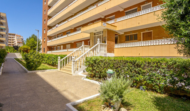 Resale - Apartment / flat - Punta Prima - Costa Blanca