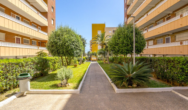 Reventa - Apartamento / piso - Punta Prima - Costa Blanca