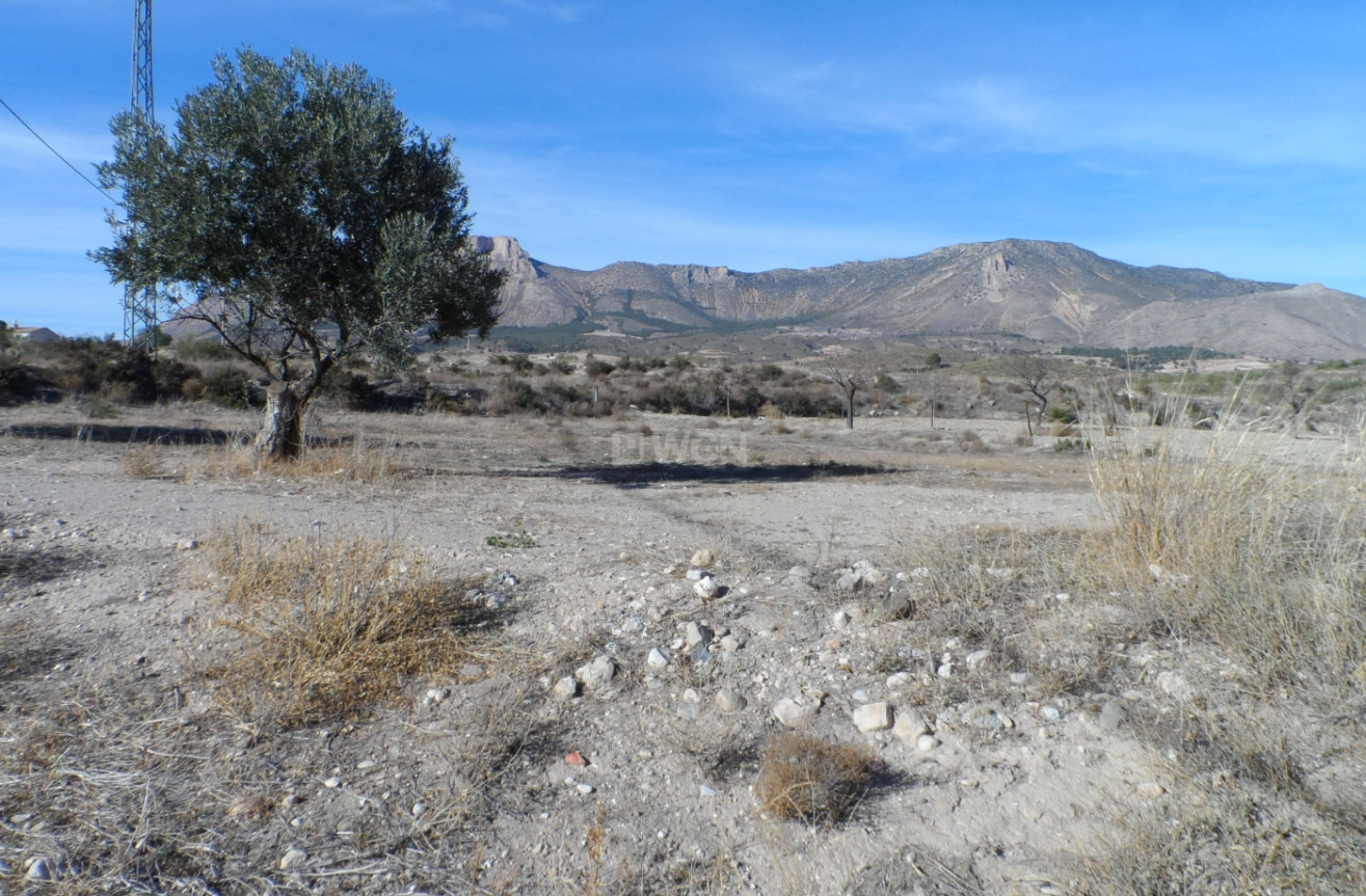 Reventa - Finca - Lorca - Costa Calida