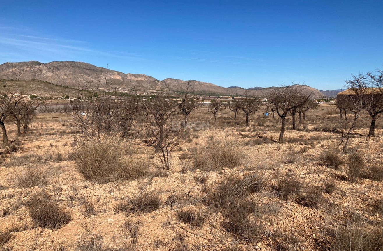 Resale - Land - Hondón de las Nieves - Inland