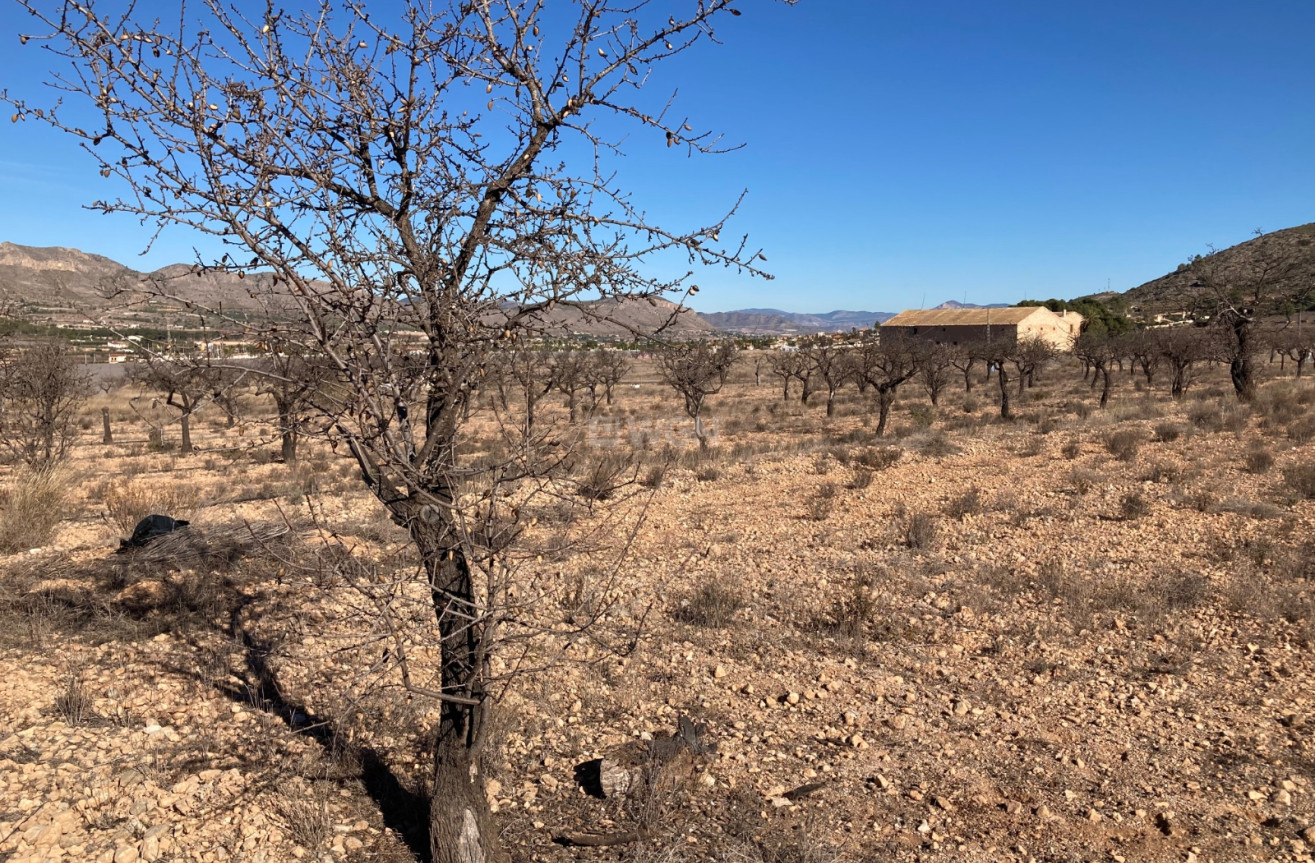 Resale - Land - Hondón de las Nieves - Inland