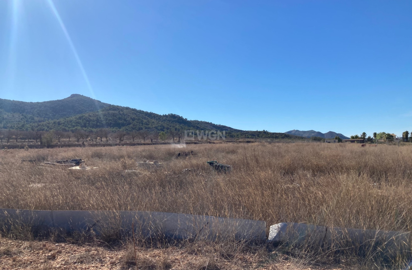 Reventa - Land - Hondón de las Nieves - Inland