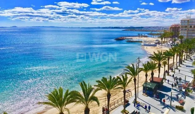 Nowy budynek - Mieszkanie w bloku - Torrevieja - Playa de los Locos