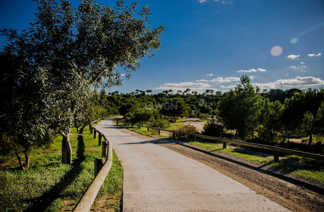 Nowy budynek - Villa - Rojales - Ciudad Quesada