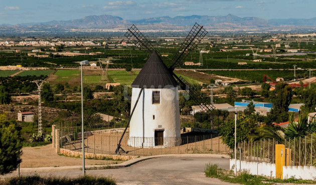 Nowy budynek - Villa - Rojales - Ciudad Quesada