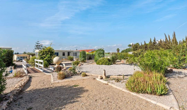 Resale - Finca - Los Montesinos - Costa Blanca