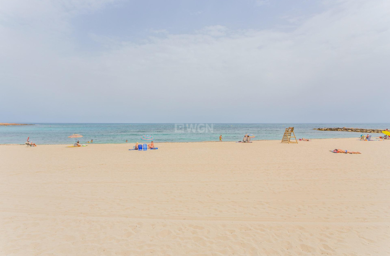 Odsprzedaż - Mieszkanie w bloku - Torrevieja - Parque Las Naciones