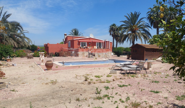 Resale - Country House - San Miguel de Salinas - Inland