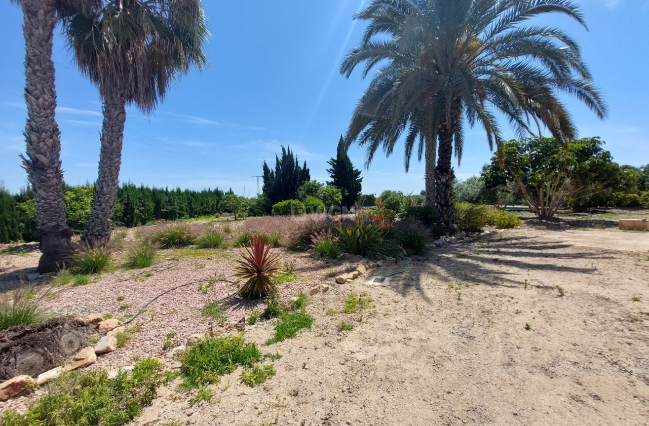 Odsprzedaż - Country House - San Miguel de Salinas - Inland