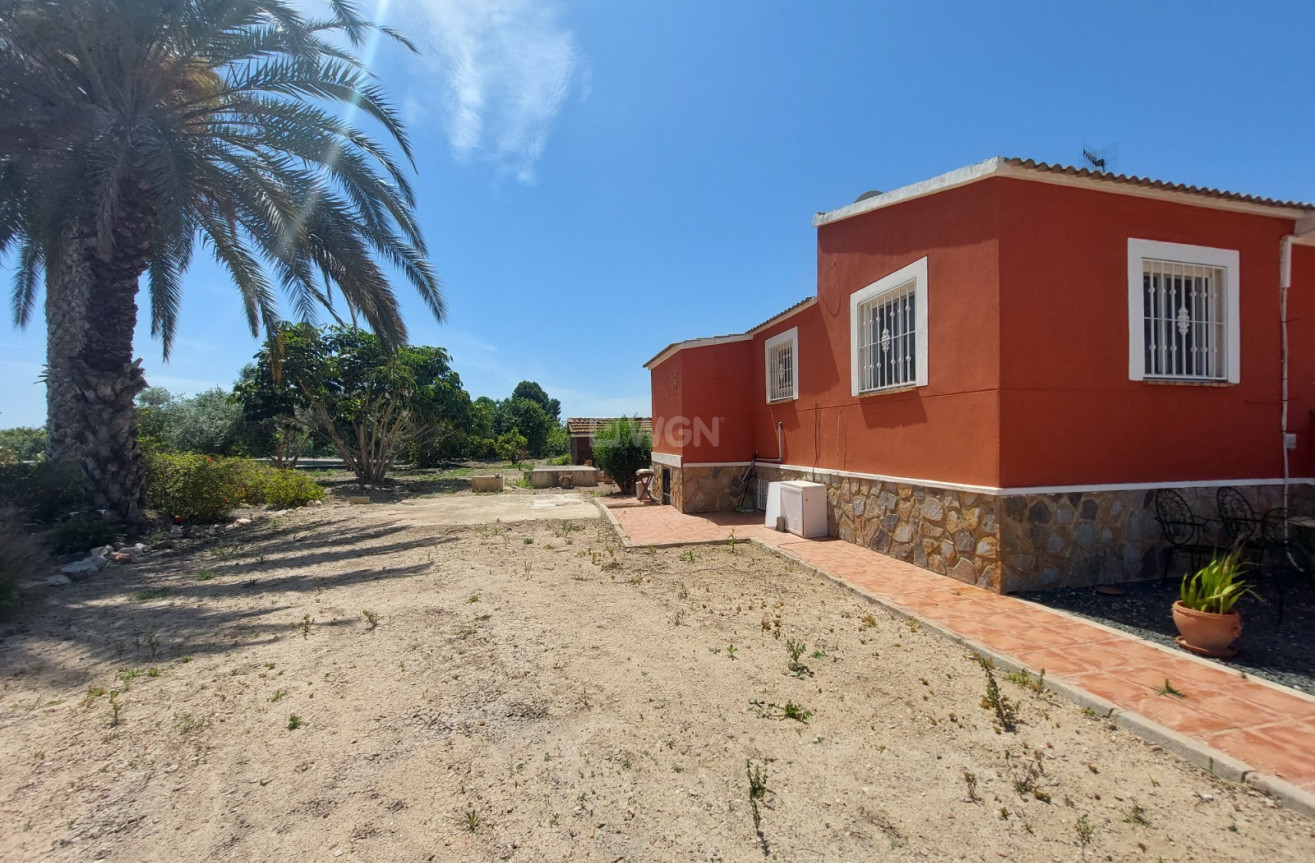 Reventa - Country House - San Miguel de Salinas - Inland