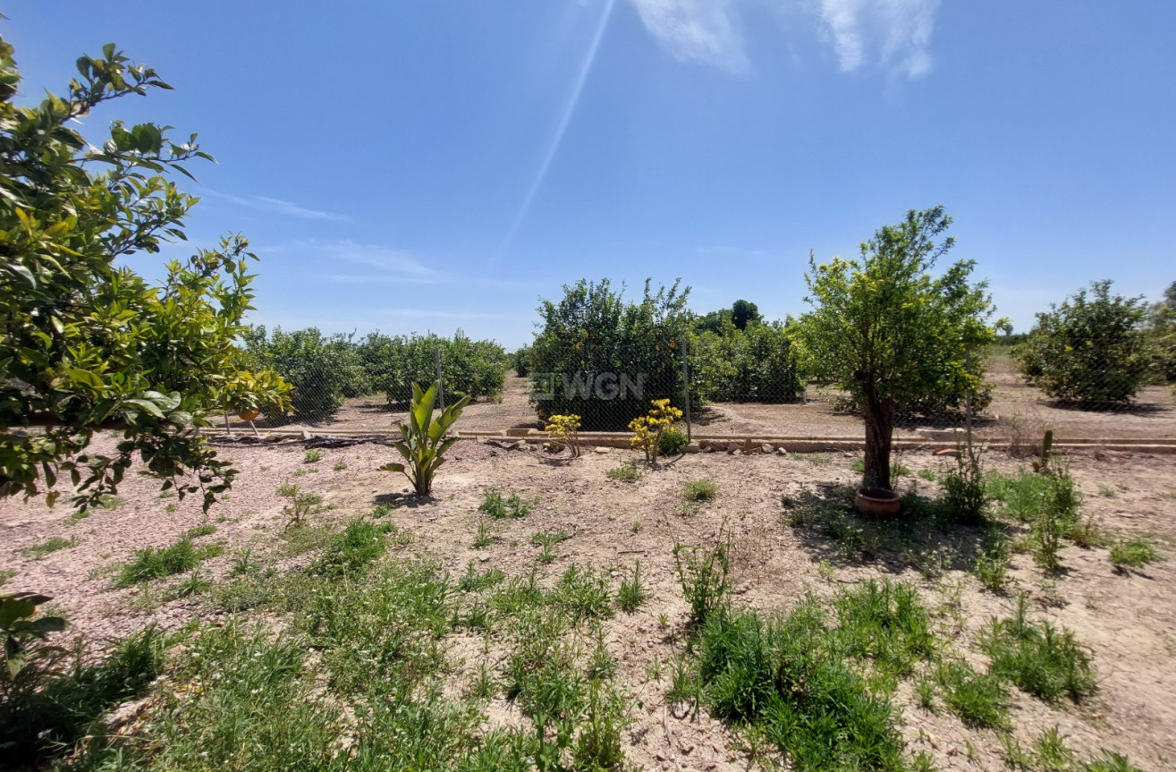 Odsprzedaż - Country House - San Miguel de Salinas - Inland