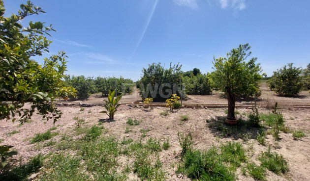 Reventa - Country House - San Miguel de Salinas - Inland