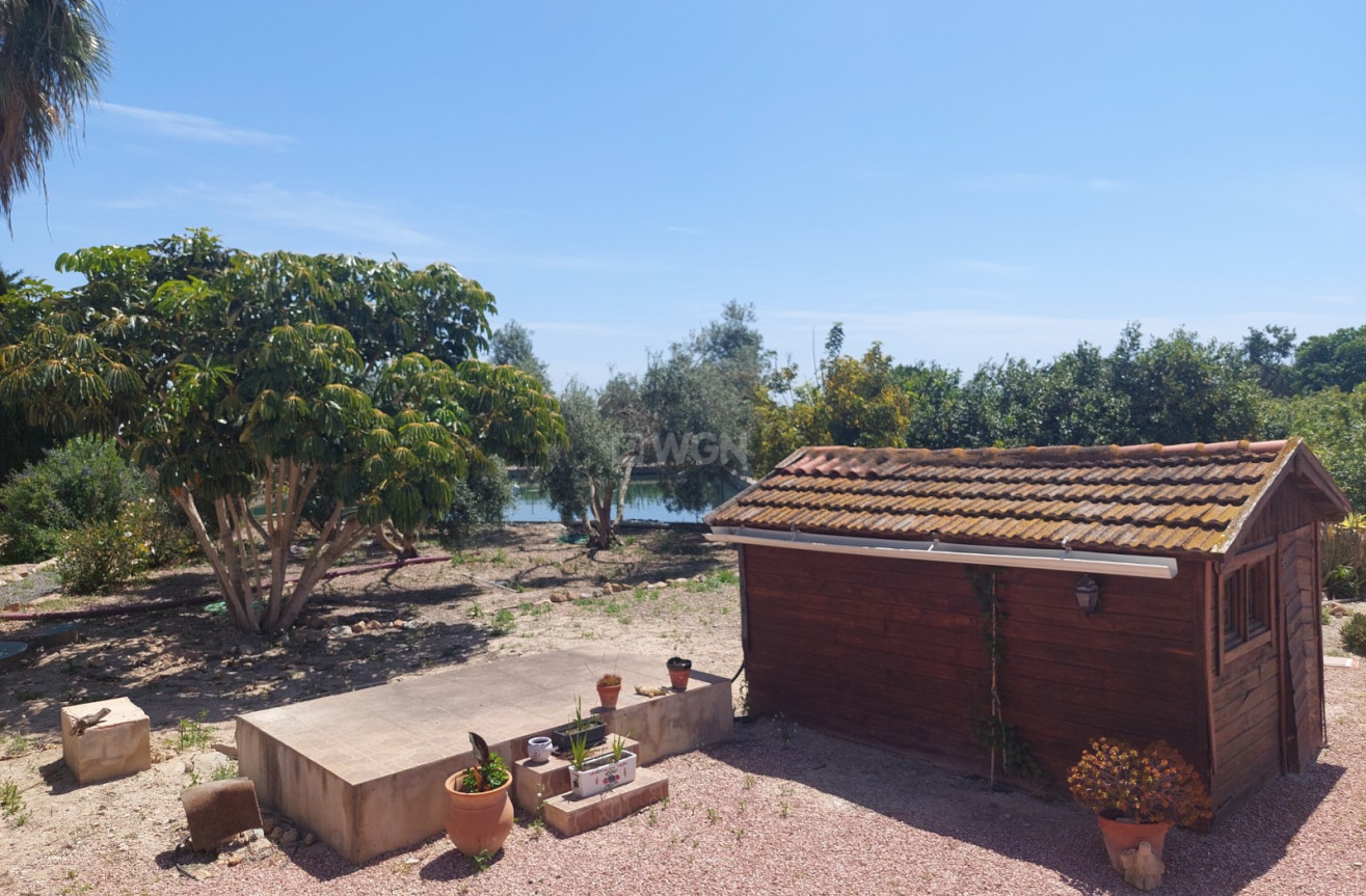 Reventa - Country House - San Miguel de Salinas - Inland